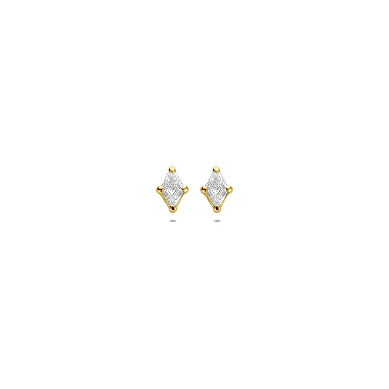 Oorknoppen zirkonia 9K geelgoud 5,5 mm – 8001951