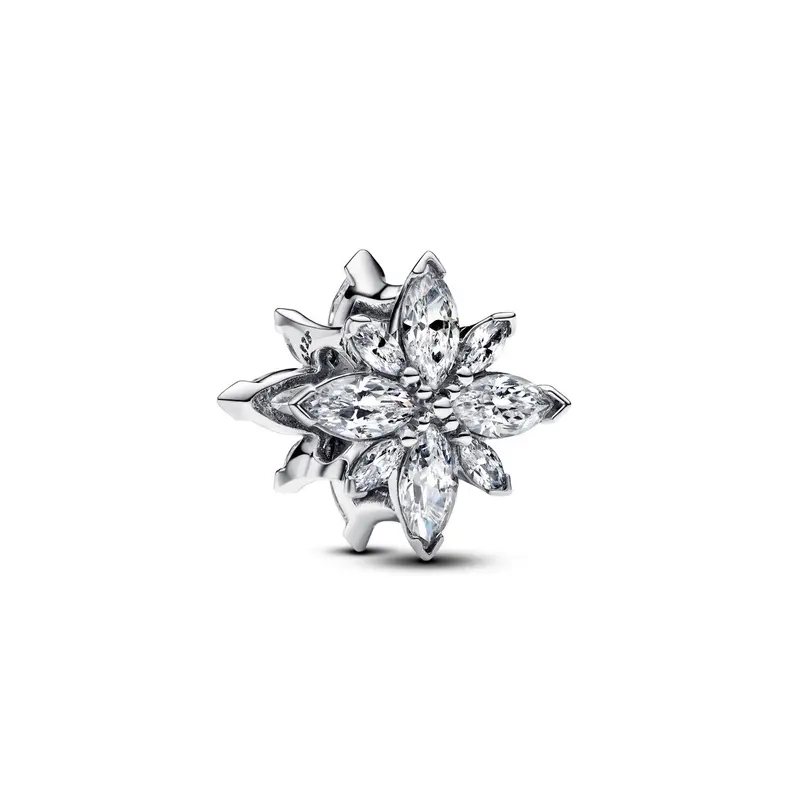 Pandora Bedel met glinsterende poolster zilver 793591C01