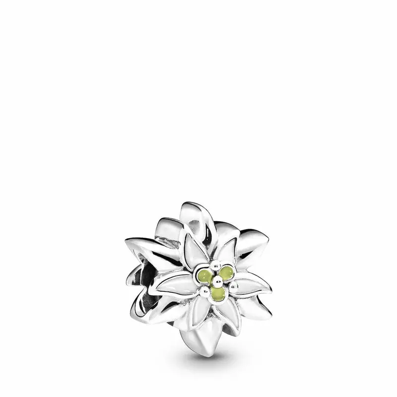 Pandora Edelweiss Bedel zilver 798243ENMX