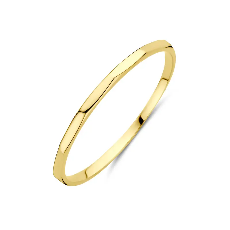 Ring 14K geelgoud 1,5 mm – 4033432