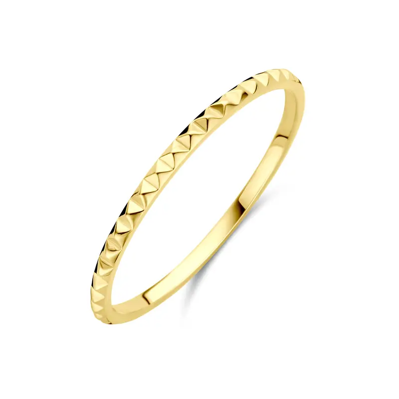 Ring 14K geelgoud 1,5 mm – 4033463