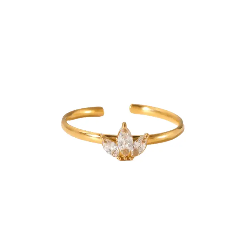Ring hannah