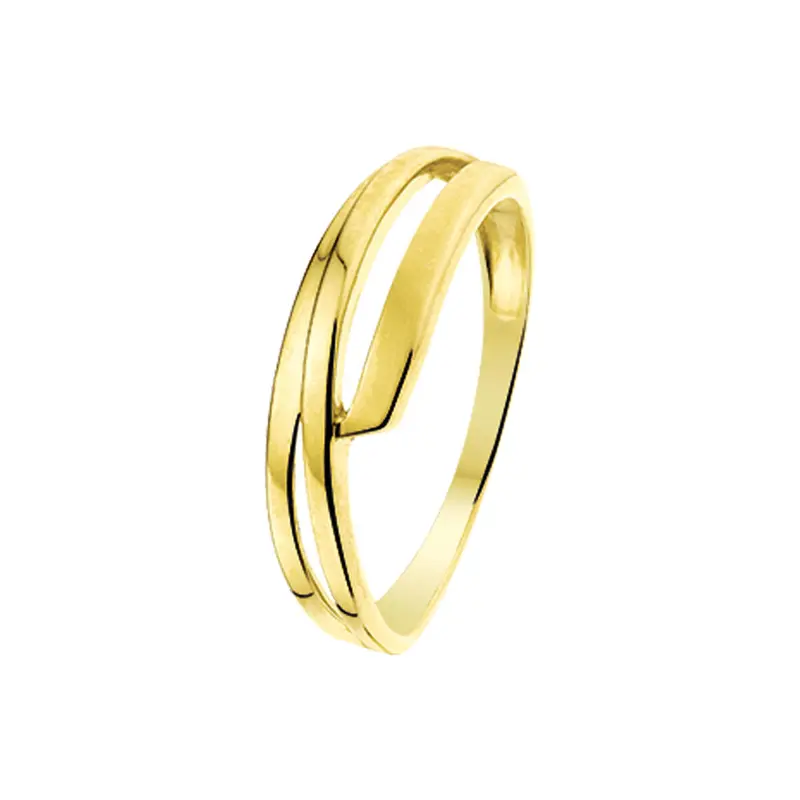 Ring poli/mat 14K geelgoud 6 mm – 4014228
