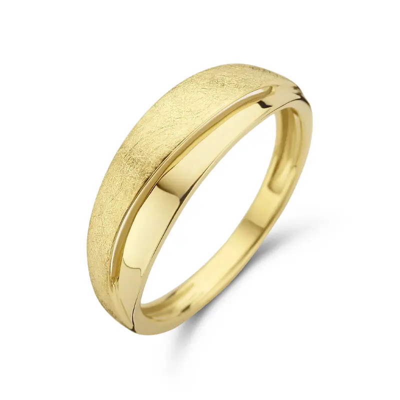 Ring poli/mat 14K geelgoud 6 mm – 4025328