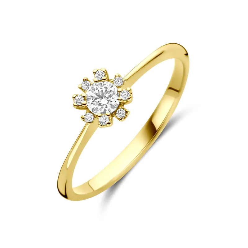 Ring rozet zirkonia 14K geelgoud