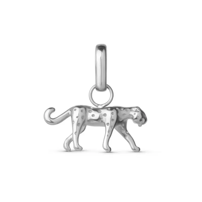 Roar Charm