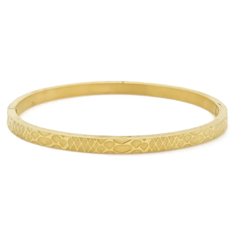 RVS armband - Bangle slang goud
