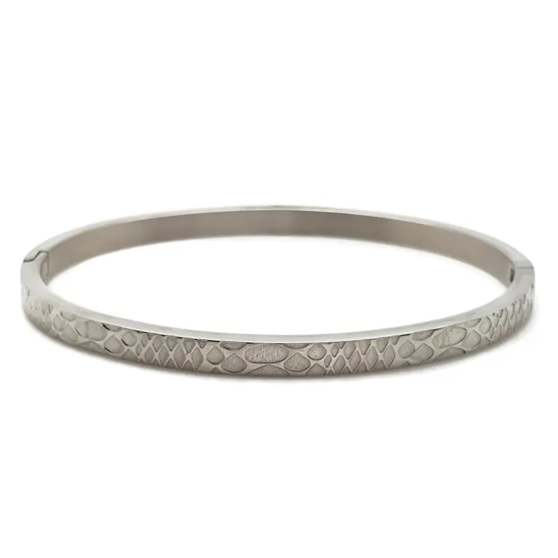 RVS armband - Bangle slang zilver
