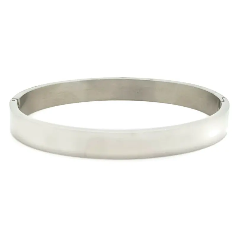 RVS armband - Bangle zilver