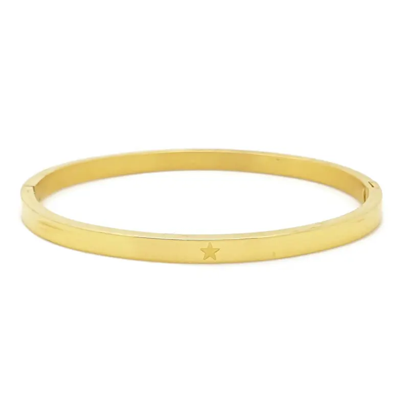 RVS armband - Sterretje goud