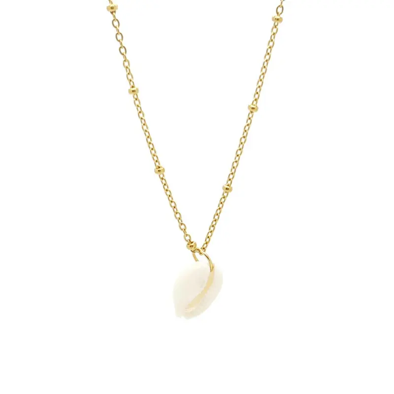 RVS Ketting - Kauri schelp goud