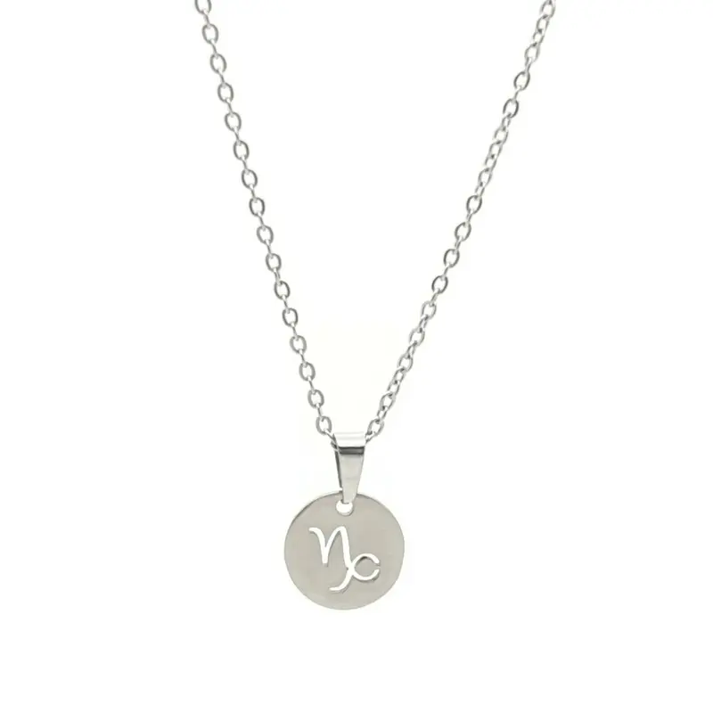 RVS Ketting - Sterrenbeeld steenbok zilver