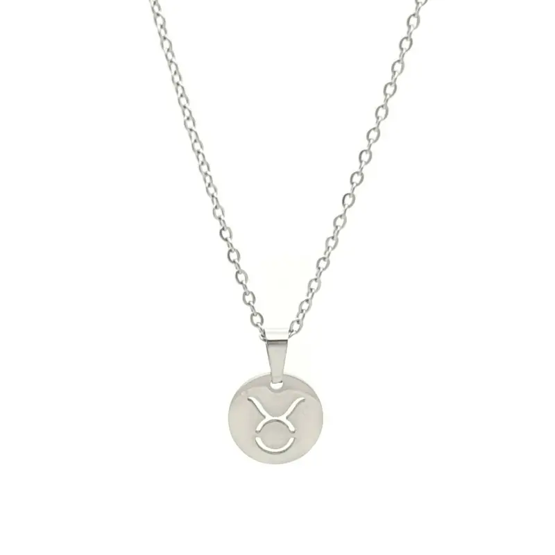 RVS Ketting - Sterrenbeeld stier zilver