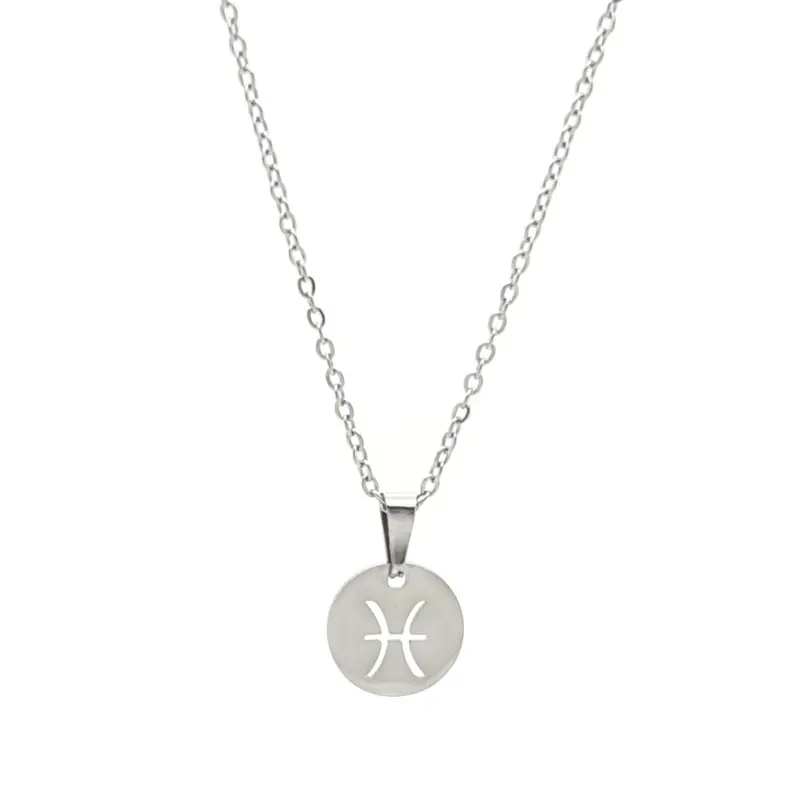 RVS Ketting - Sterrenbeeld vissen zilver