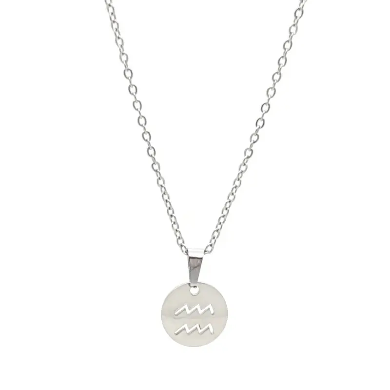 RVS Ketting - Sterrenbeeld waterman zilver