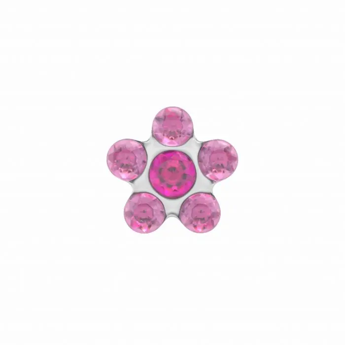Schietoorbellen bloem daisy roze staal