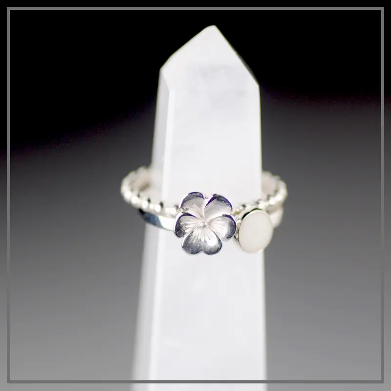 Set Violette in Silver