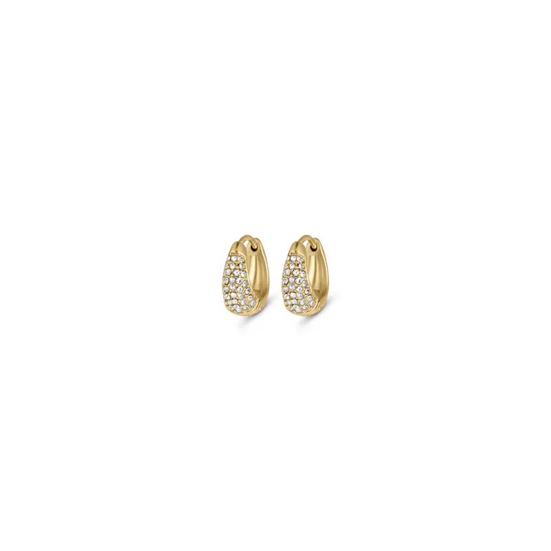 Shimmer Earrings Small