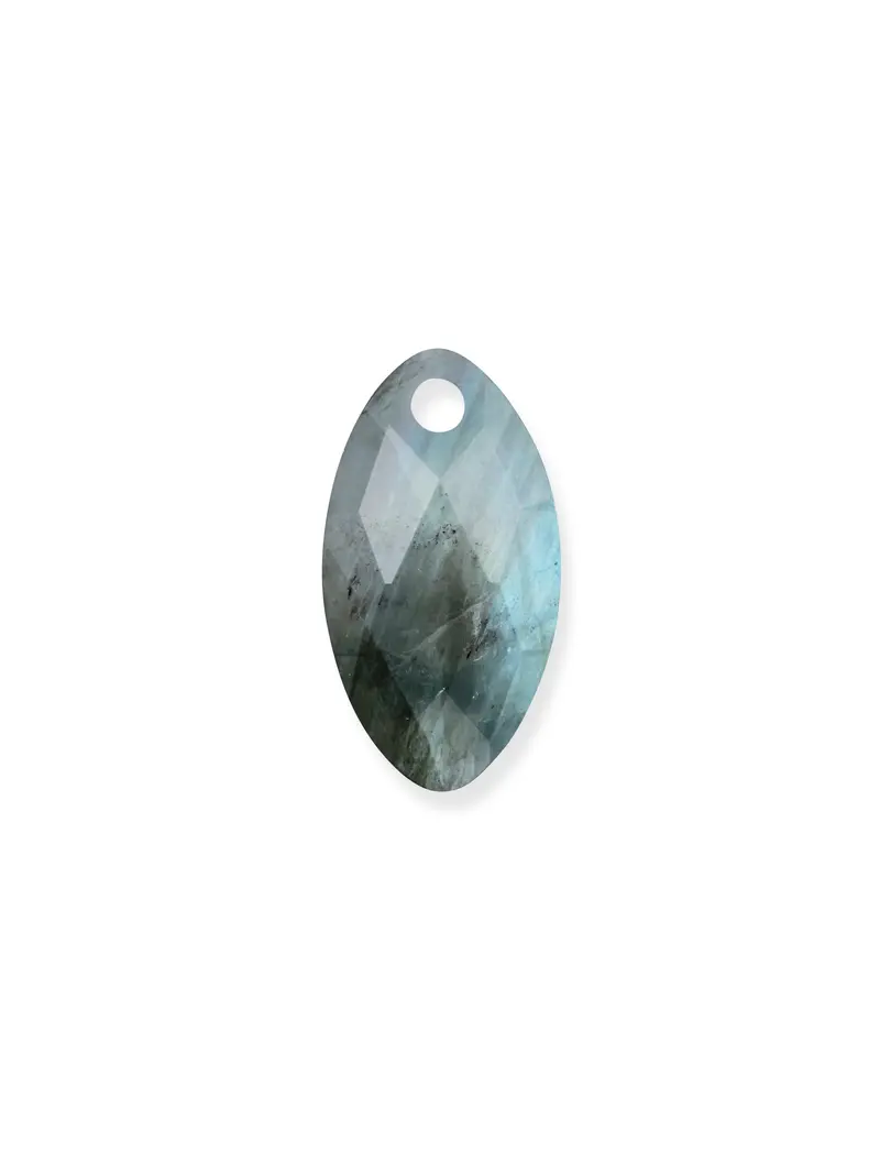 Sparkling Jewels Edelsteen Hanger Leaf Labradoriet PENGEM18-FCT-S