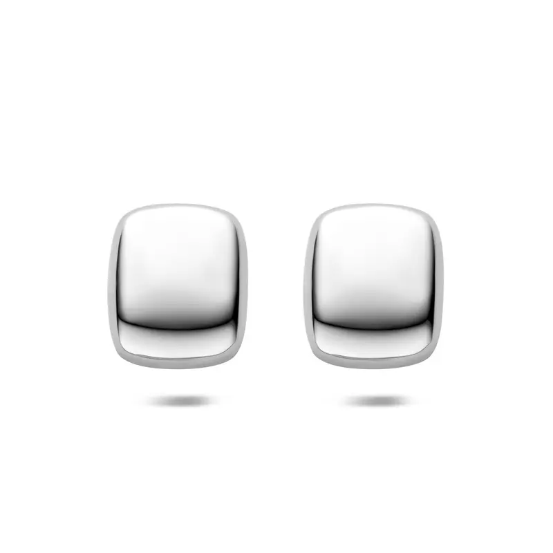 Stalen oorknoppen zilverkleurig – 23x19mm