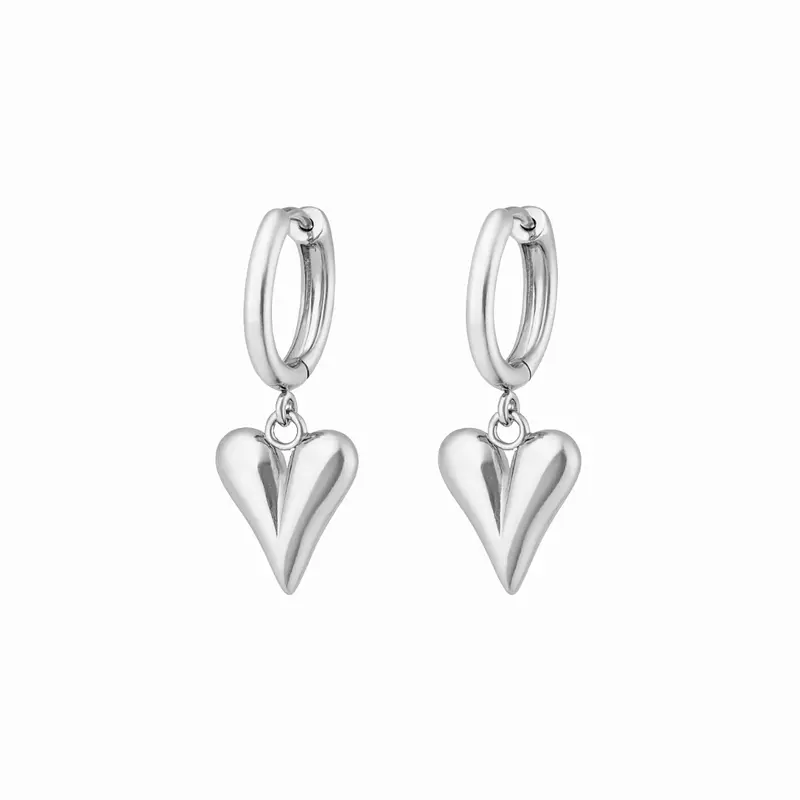 Symbolische Oorbellen – Hart