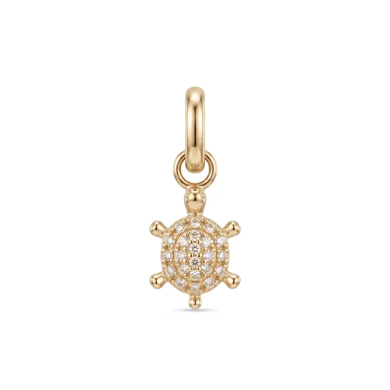 Turtle Charm