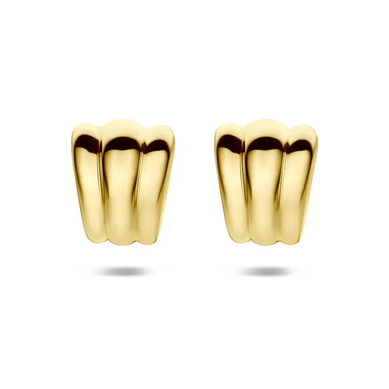 Verguld 925 Zilveren Stekeroorbellen 20,5 x 16,5 mm Dames