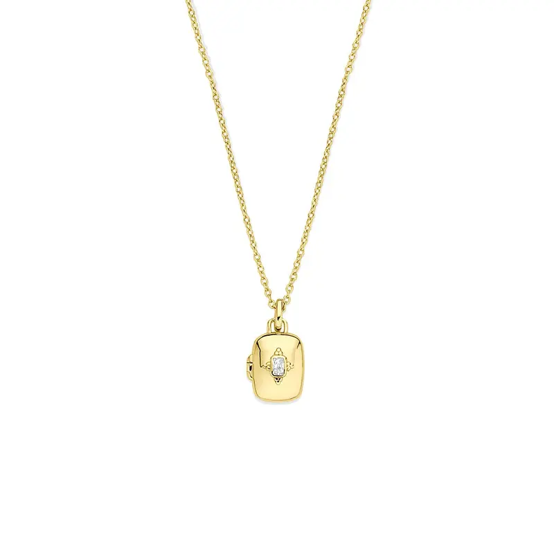 Verguld zilveren collier met zirkonia medaillon