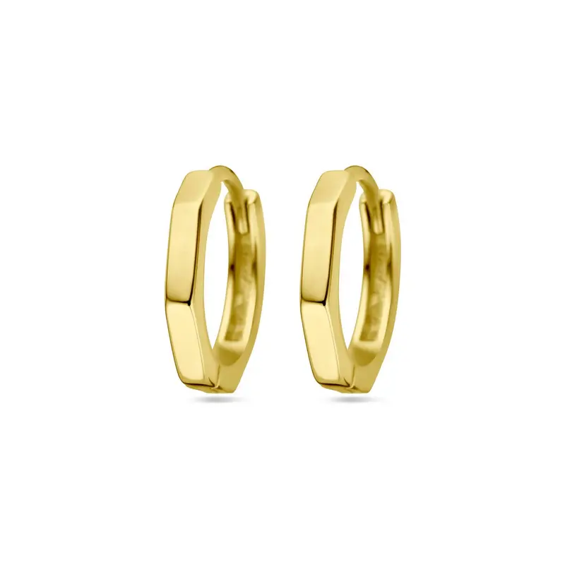 Verguld Zilveren Klapoorringen – 12 mm