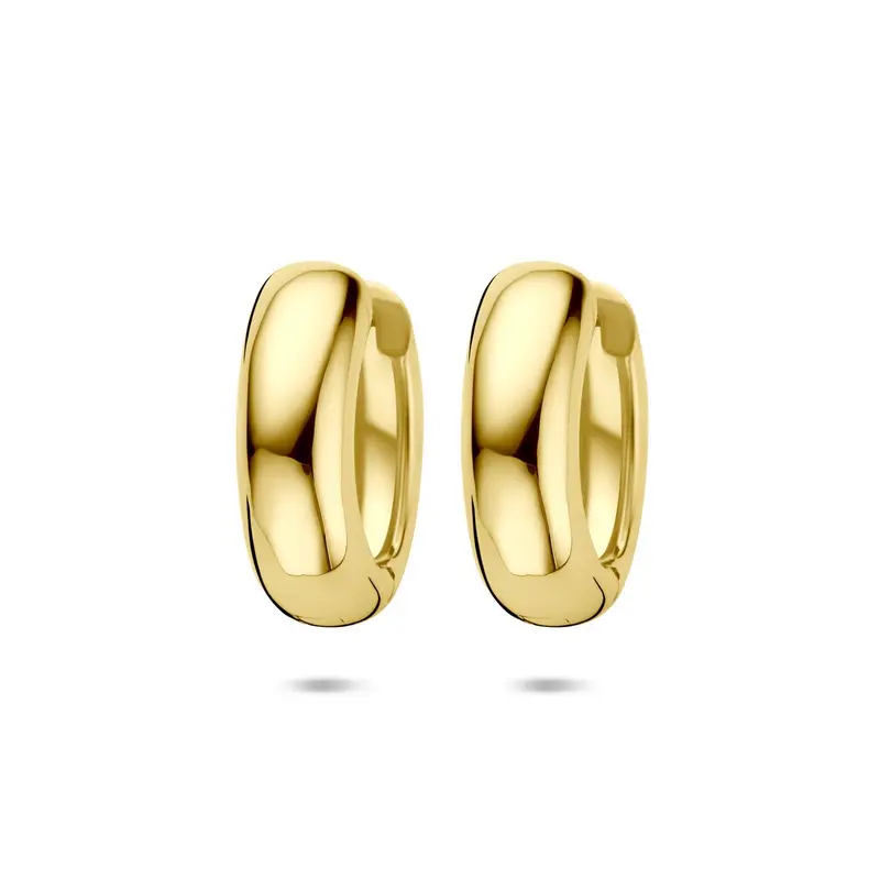 Verguld zilveren klapoorringen dames – 20 x 17 mm