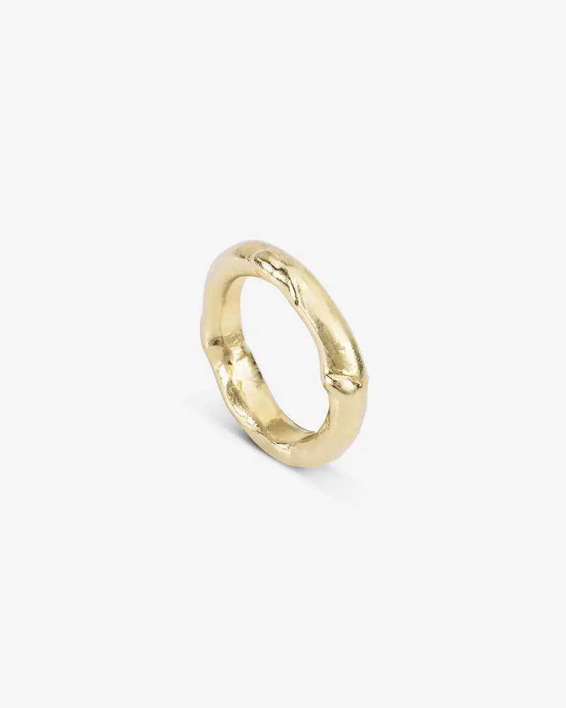 Wild world | Gold Plated Silver