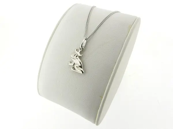 Zilveren hangertje met dunne gourmet ketting pendant Prins kikker