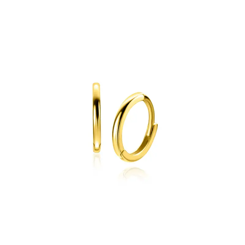 ZINZI 14K Gouden Oorbellen ZGO523