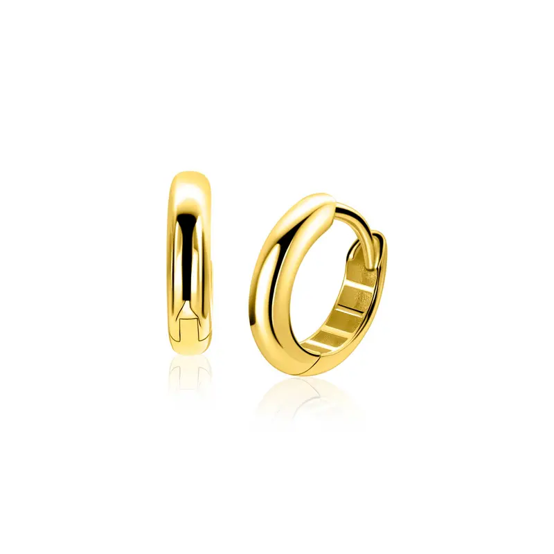 ZINZI 14K Gouden Oorbellen ZGO567